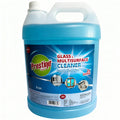 Glass Cleaner HD for Germ Protection 5 Ltr
